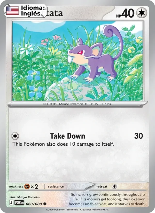 Rattata (060) — Perfect Order