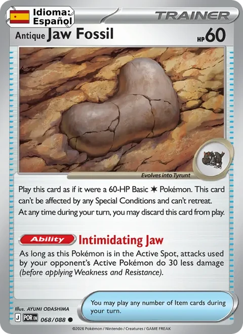Antique Jaw Fossil (068) — Perfect Order